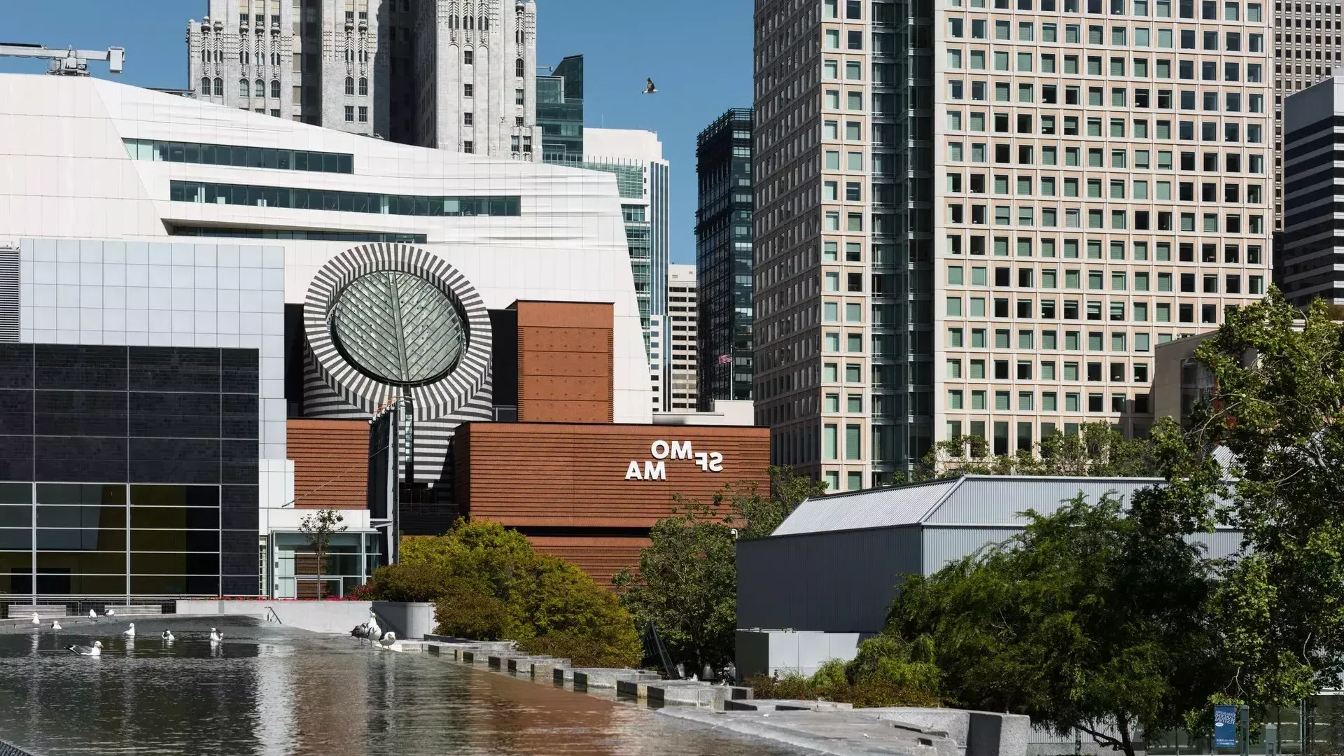 SFMOMA next to the 芳草地花园